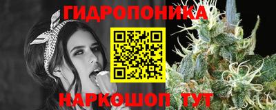 каннабис Будённовск