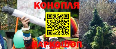 каннабис Будённовск