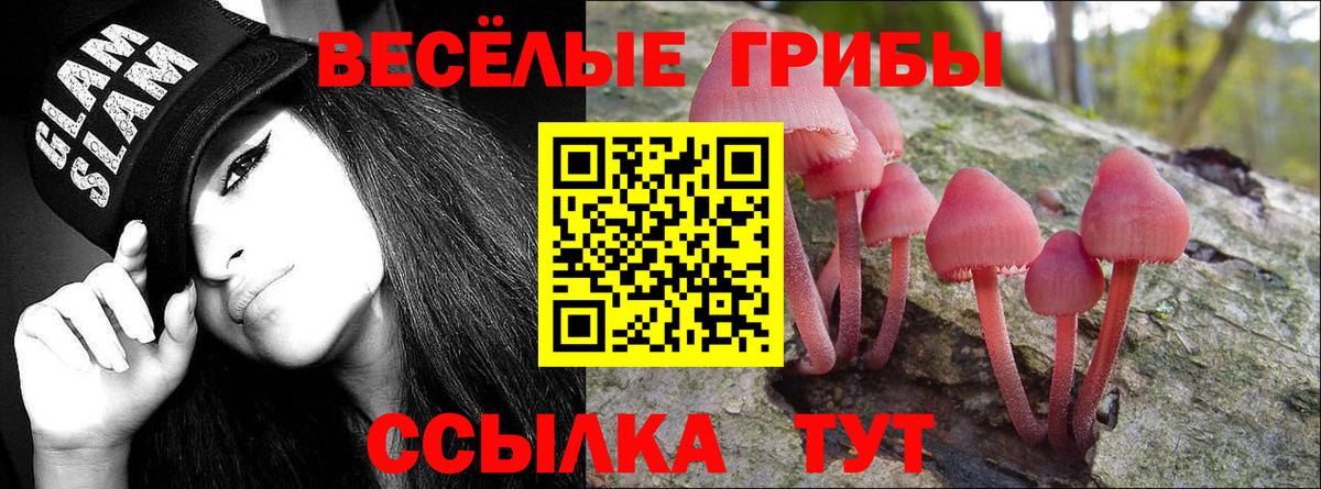 Псилоцибиновые грибы Psilocybine cubensis Усинск
