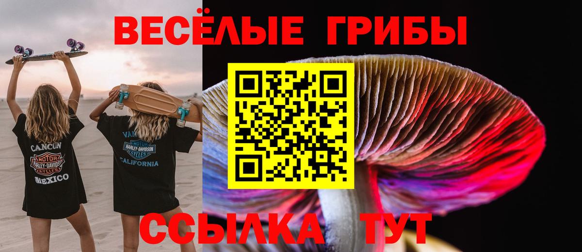Галлюциногенные грибы Cubensis  Вход с VPN  Усинск 